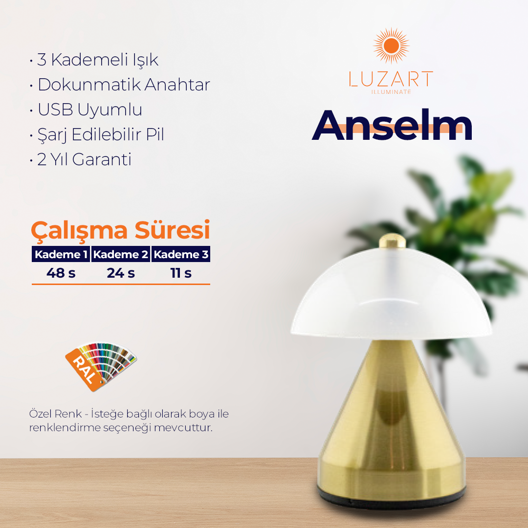 Anselm (Type-C Model)