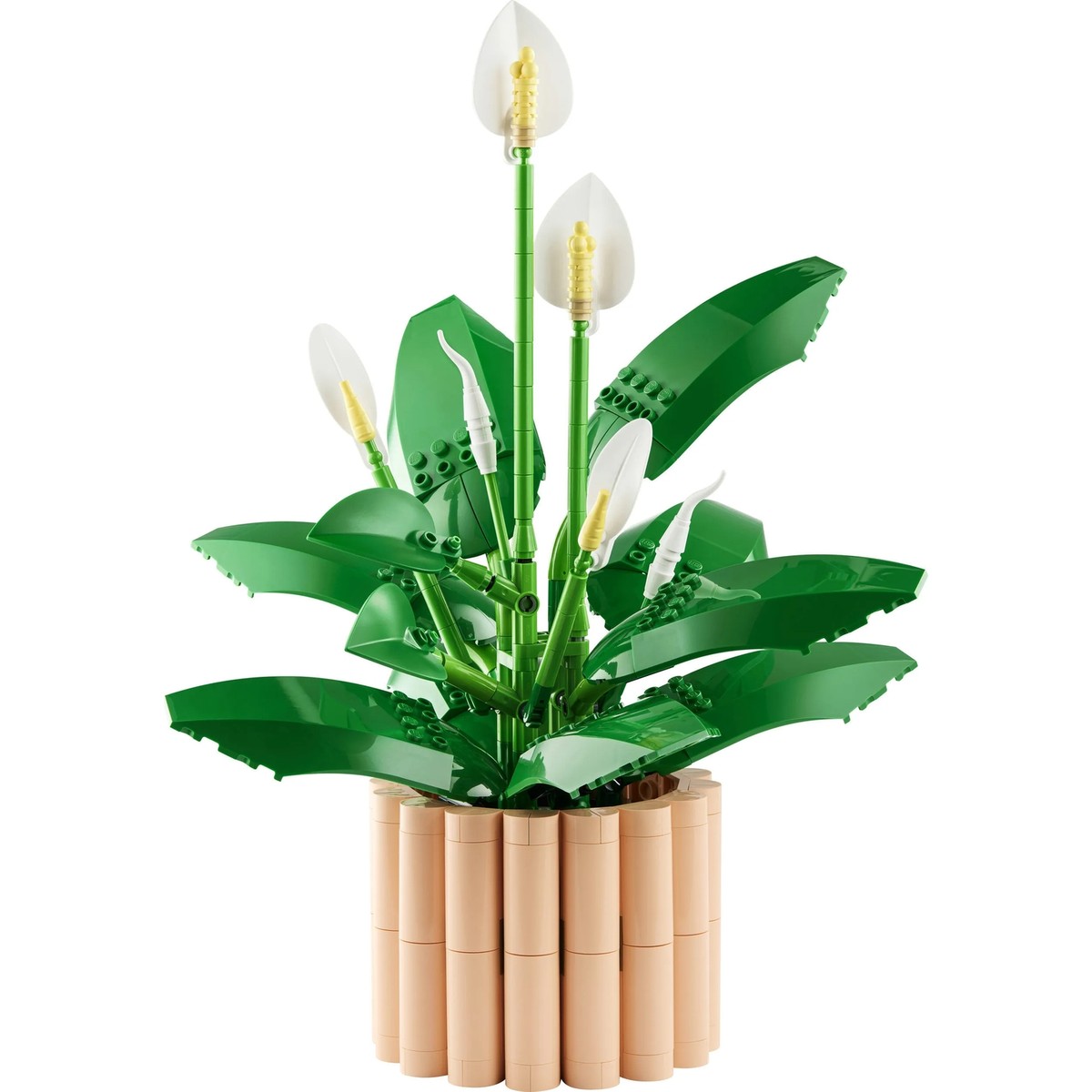 LEGO® Botanicals Barış Çiçeği 11504 - Yetiskinler için 6 Baris Çiçegi Içeren Koleksiyonluk Dekoratif Model Yapim Seti (474 Parça)