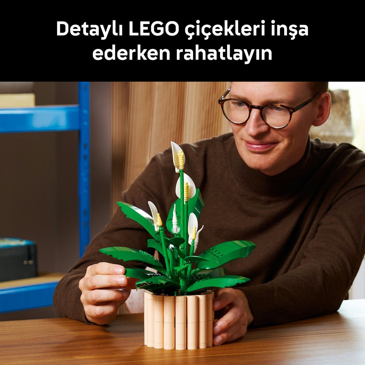 LEGO® Botanicals Barış Çiçeği 11504 - Yetiskinler için 6 Baris Çiçegi Içeren Koleksiyonluk Dekoratif Model Yapim Seti (474 Parça)