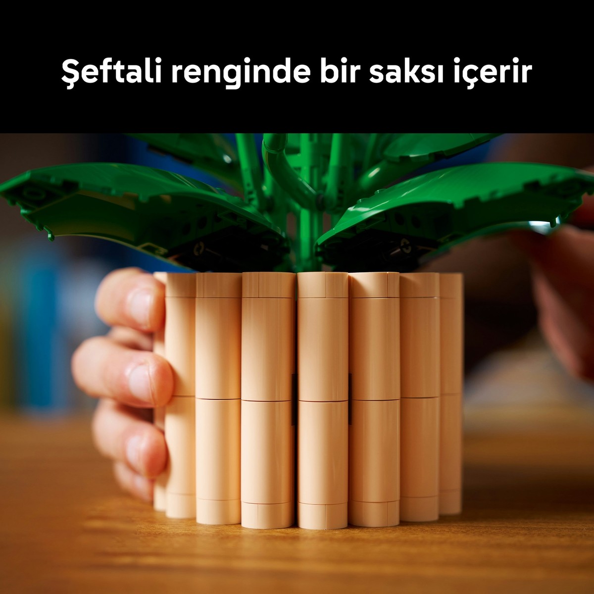 LEGO® Botanicals Barış Çiçeği 11504 - Yetiskinler için 6 Baris Çiçegi Içeren Koleksiyonluk Dekoratif Model Yapim Seti (474 Parça)