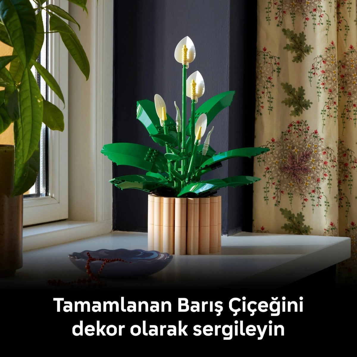 LEGO® Botanicals Barış Çiçeği 11504 - Yetiskinler için 6 Baris Çiçegi Içeren Koleksiyonluk Dekoratif Model Yapim Seti (474 Parça)