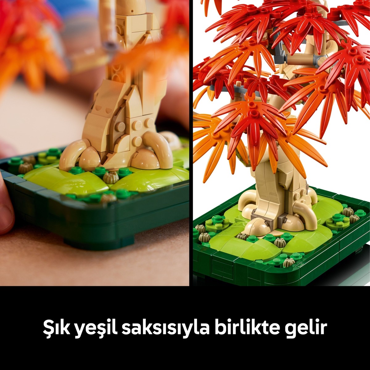 LEGO® Botanicals Japon Kirmizi Akçaagaç Bonsai Agaci 10348 - Yetiskin Bitki Severler için Bitki Modeli Yapim Seti (474 Parça)