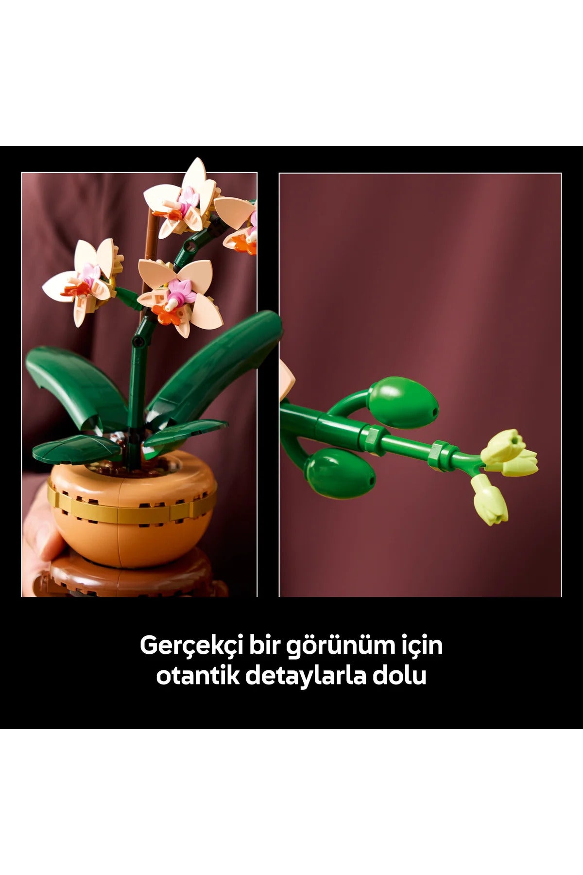 LEGO® Botanicals Mini Orkide 10343 - Yetişkinler için Dekoratif Çiçek Yapım Seti (274 P)