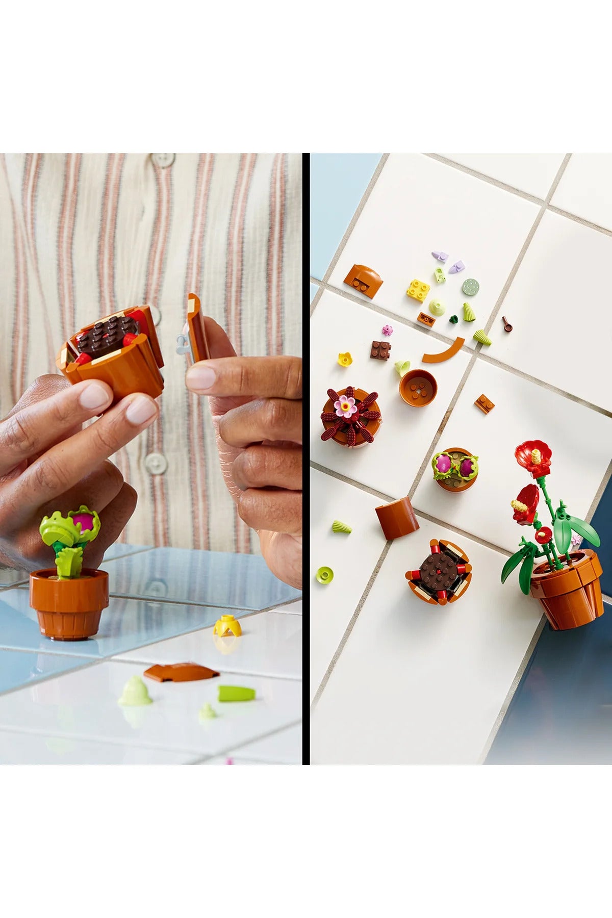 LEGO® Botanicals Minik Bitkiler 10329 - 18+ Yaratıcı Model Yapım Seti (758Parça)