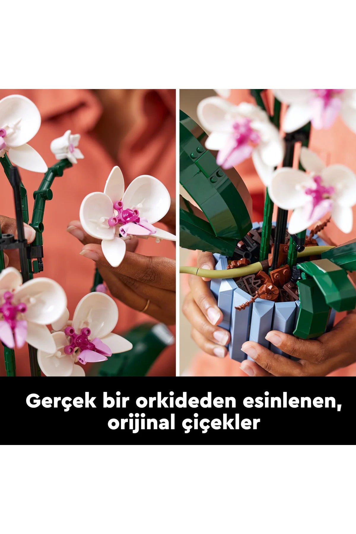 LEGO® Botanicals Orkide 10311 - Yetişkinler için Sergilenebilir Çiçek Modeli Yapım Seti (608 Parça)
