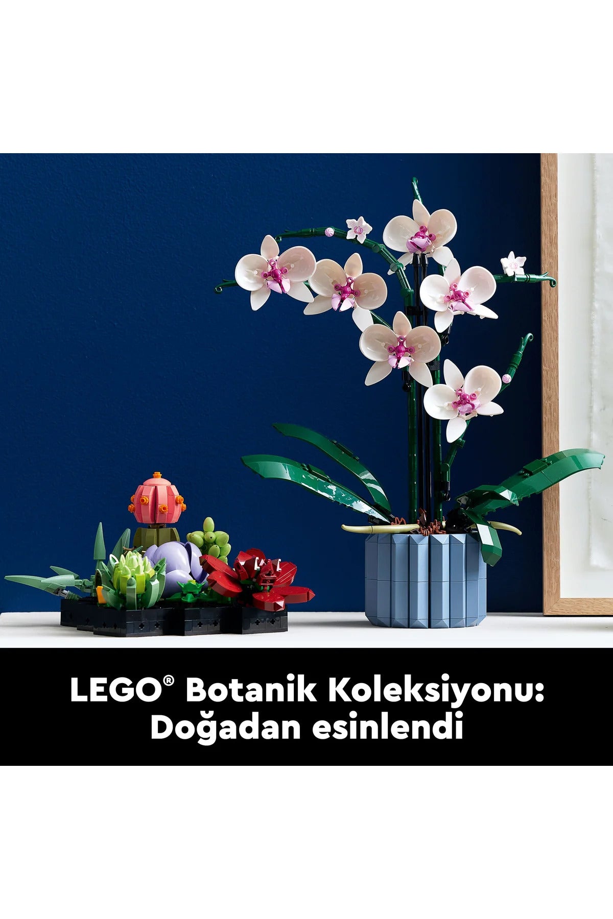 LEGO® Botanicals Orkide 10311 - Yetişkinler için Sergilenebilir Çiçek Modeli Yapım Seti (608 Parça)