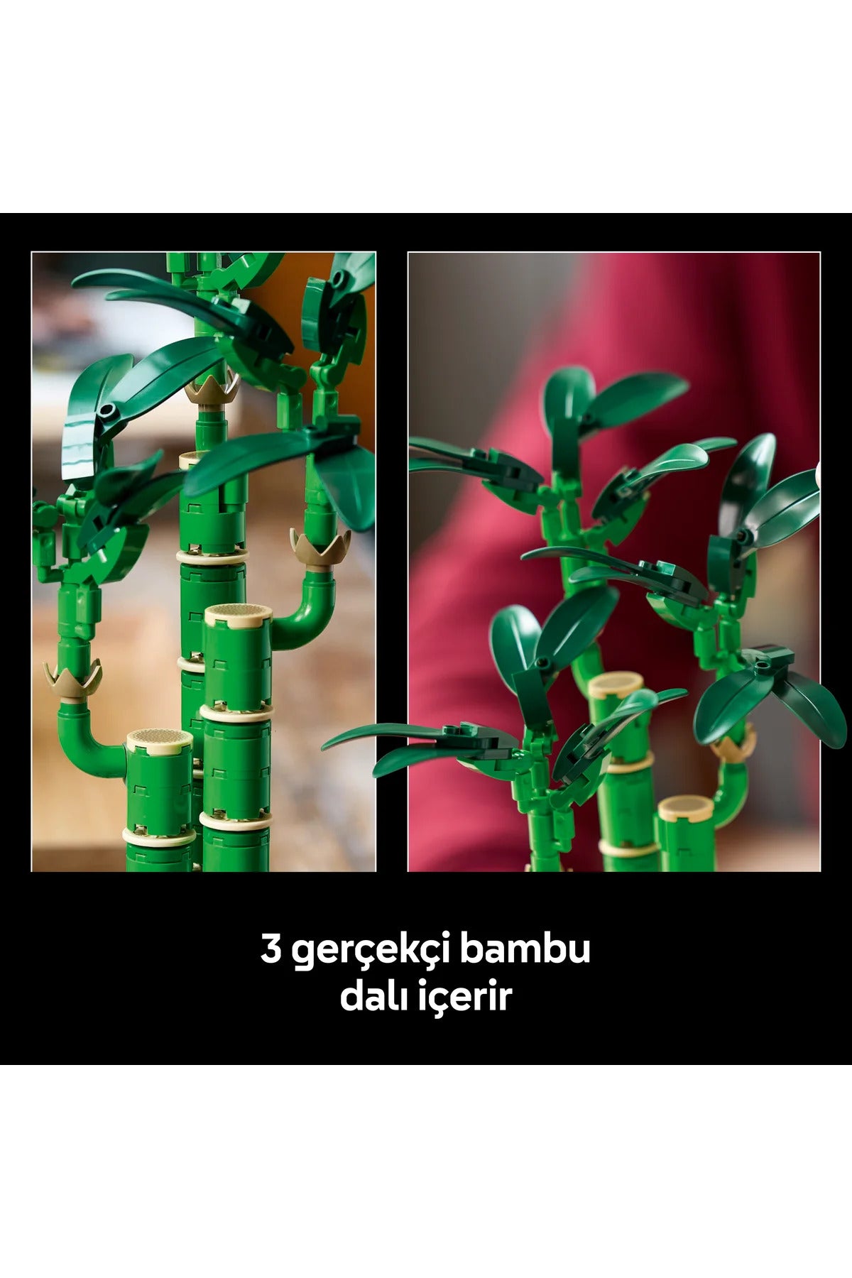 LEGO® Botanicals Şans Bambusu 10344 - Doğasever Yetişkinler için Dekoratif Bitki Yapım Seti (325P)