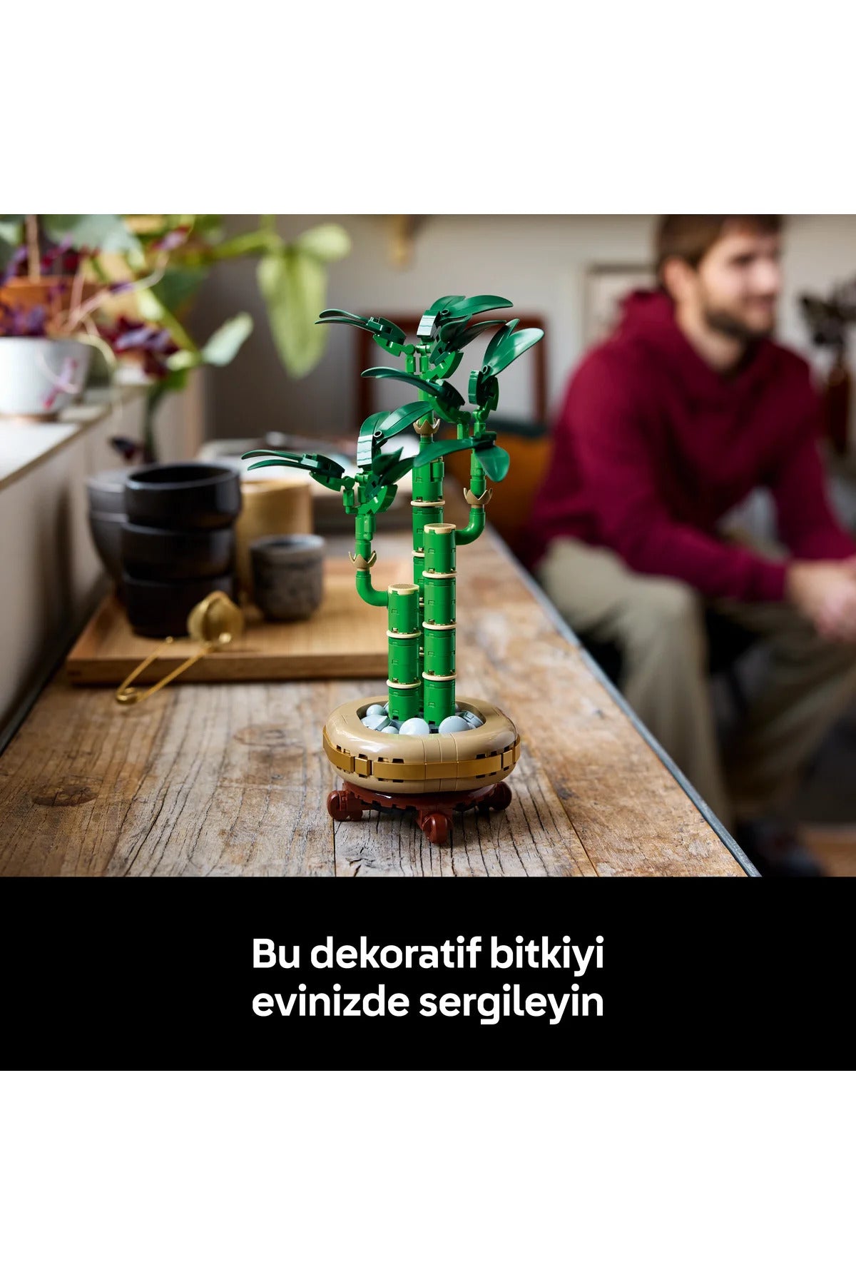 LEGO® Botanicals Şans Bambusu 10344 - Doğasever Yetişkinler için Dekoratif Bitki Yapım Seti (325P)
