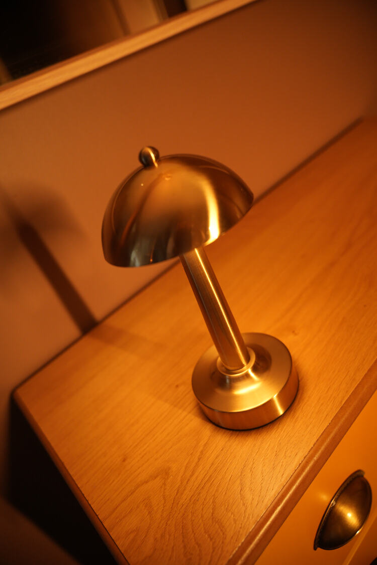 Vincent (Manyetik Şarj Kasetli)