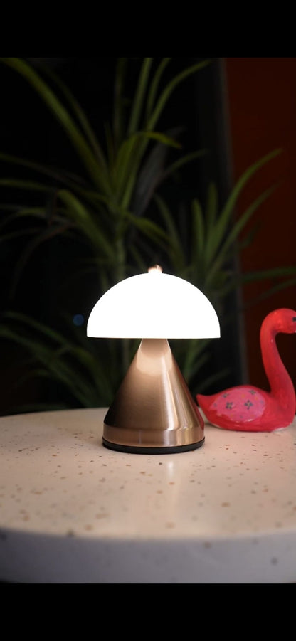 Anselm (Manyetik Şarj Kasetli)