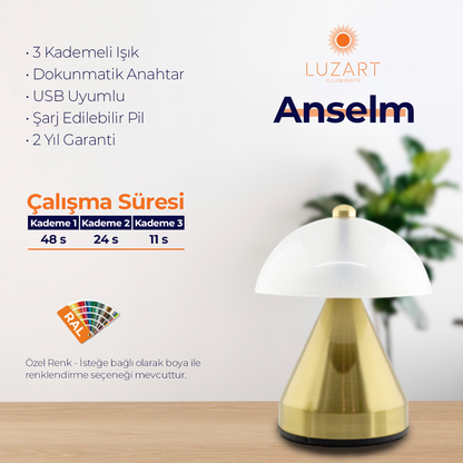 Anselm (Type-C Model)