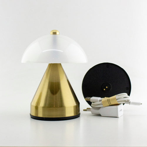 Anselm (Type-C Model)