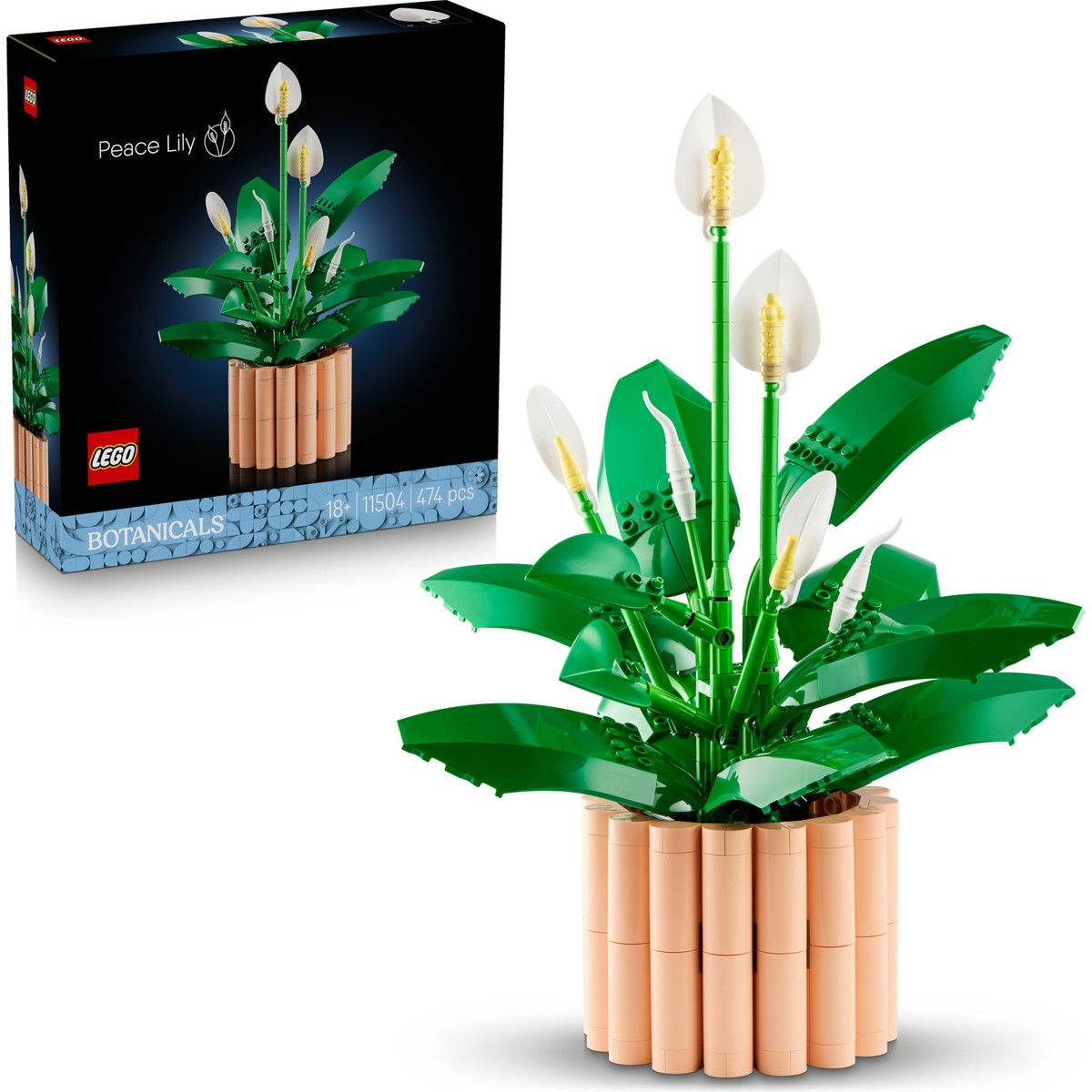 LEGO® Botanicals Barış Çiçeği 11504 - Yetiskinler için 6 Baris Çiçegi Içeren Koleksiyonluk Dekoratif Model Yapim Seti (474 Parça)