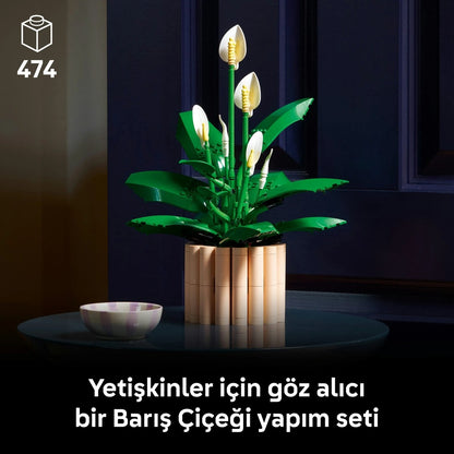 LEGO® Botanicals Barış Çiçeği 11504 - Yetiskinler için 6 Baris Çiçegi Içeren Koleksiyonluk Dekoratif Model Yapim Seti (474 Parça)
