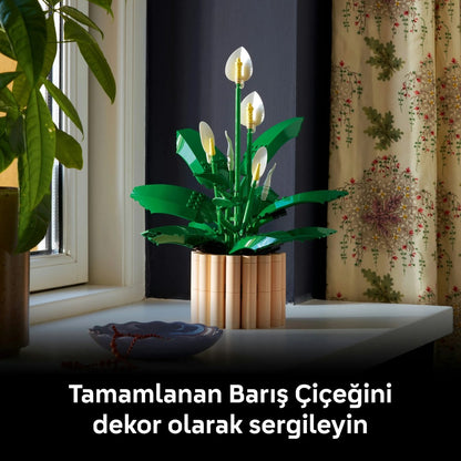 LEGO® Botanicals Barış Çiçeği 11504 - Yetiskinler için 6 Baris Çiçegi Içeren Koleksiyonluk Dekoratif Model Yapim Seti (474 Parça)