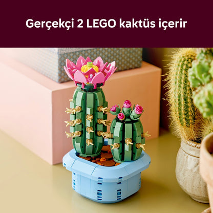 LEGO® Botanicals Çiçekli Kaktüs 11509 - 9 Yas ve Üzeri Çocuklar için 2 Kaktüs Içeren Yaratici Oyuncak Yapim Seti (482 Parça)