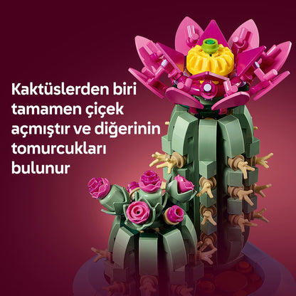 LEGO® Botanicals Çiçekli Kaktüs 11509 - 9 Yas ve Üzeri Çocuklar için 2 Kaktüs Içeren Yaratici Oyuncak Yapim Seti (482 Parça)