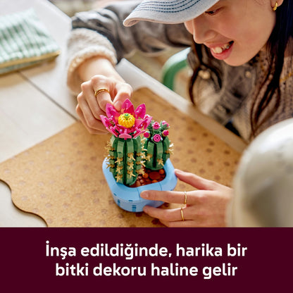 LEGO® Botanicals Çiçekli Kaktüs 11509 - 9 Yas ve Üzeri Çocuklar için 2 Kaktüs Içeren Yaratici Oyuncak Yapim Seti (482 Parça)
