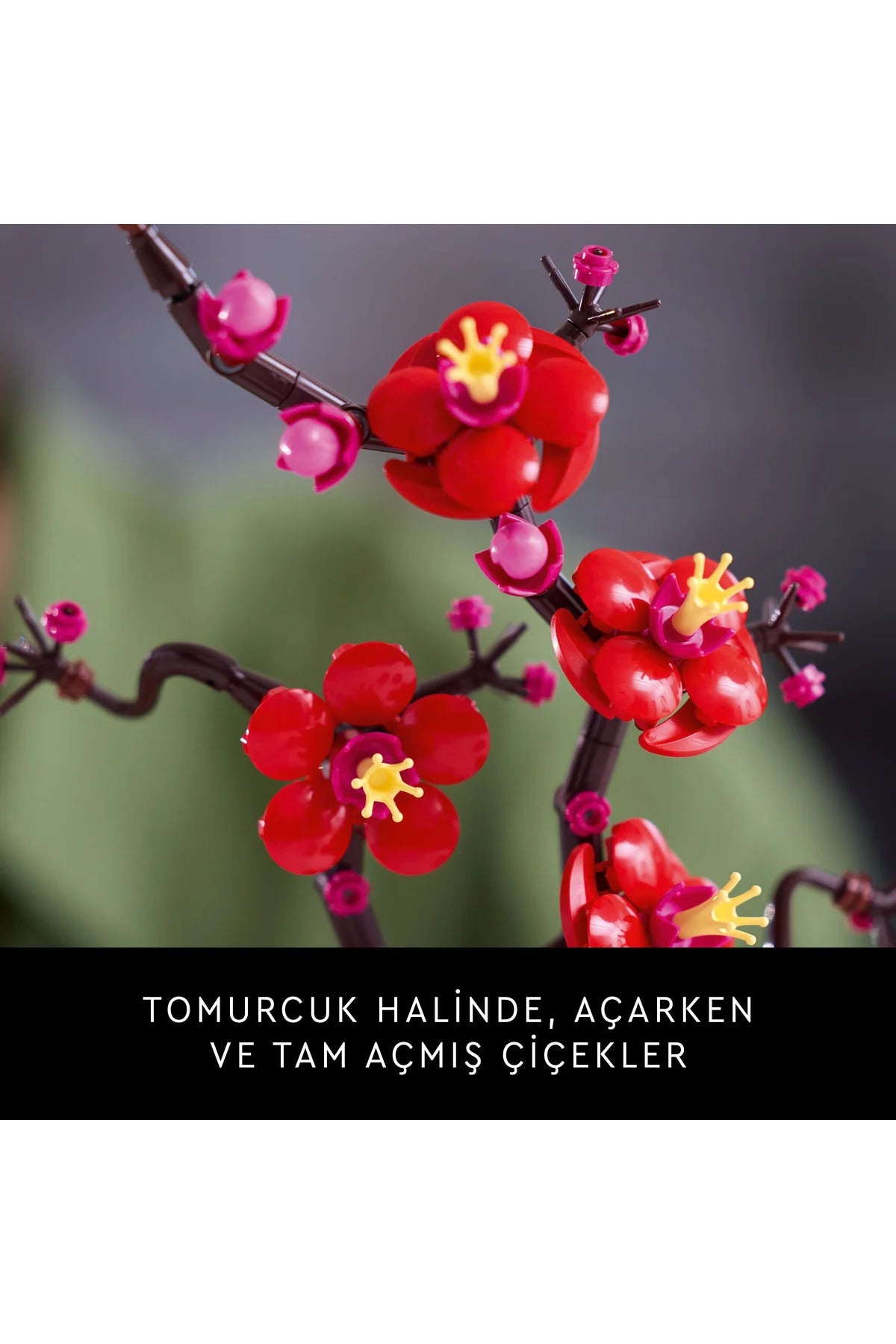 LEGO® Botanicals Erik Çiçeği 10369 - 18+ Yaratıcı Model Yapım Seti (327Parça)