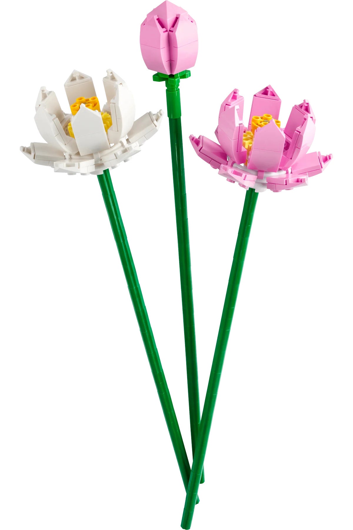 LEGO® Botanicals Lotus Çiçekleri 40647 - 8+ Çiçek Model Yapım Seti (220Pr)