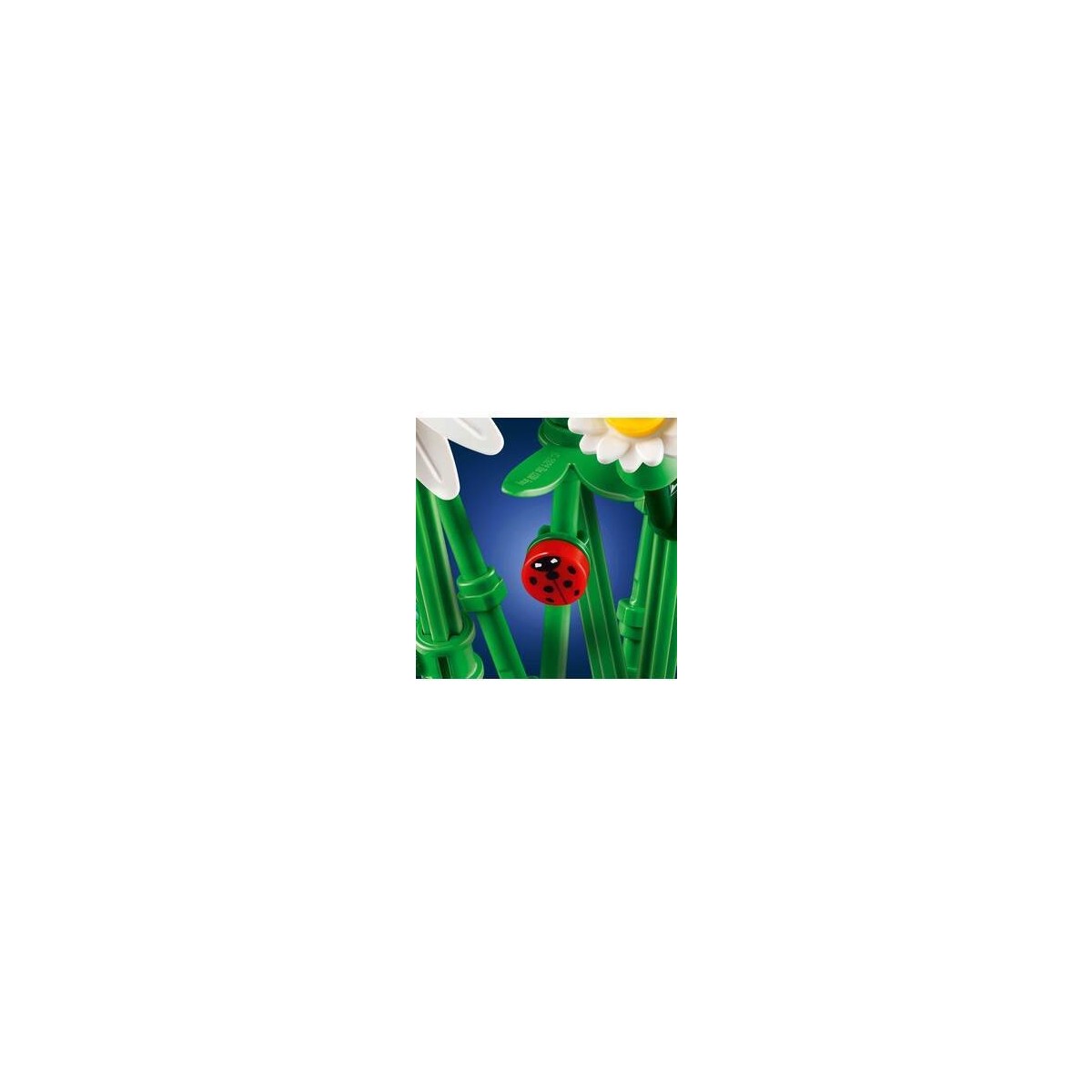 LEGO® Botanicals Papatyalar 11508 Renkli Çiçek Seti Eğlenceli Tasarım ve Doğa Teması