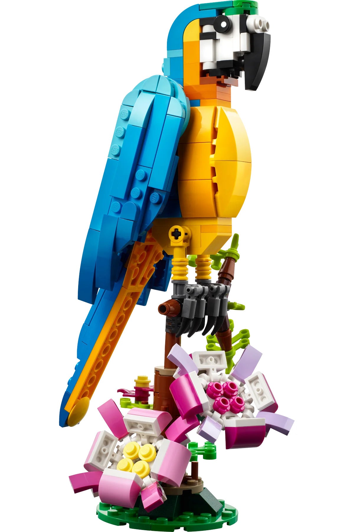 LEGO® Creator 3'ü 1 Arada EgzotikPapağan 31136 - 7+ Çocuklar için Yaratıcı Oyuncak Yapım Seti (253P)