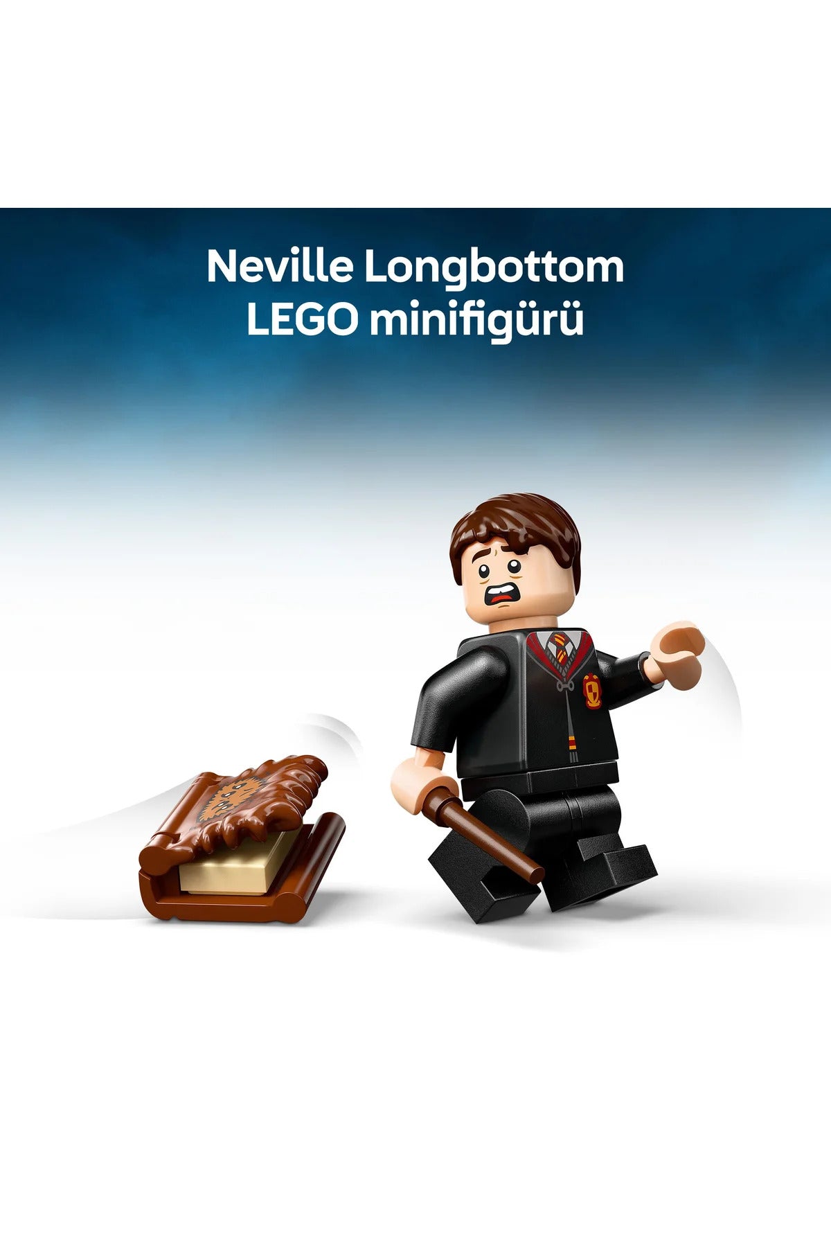 LEGO ® Harry Potter™ Isıran Canavar Kitap 76449 - 9+ Çocuklar için Yaratıcı Oyuncak Yapım Seti (518P)