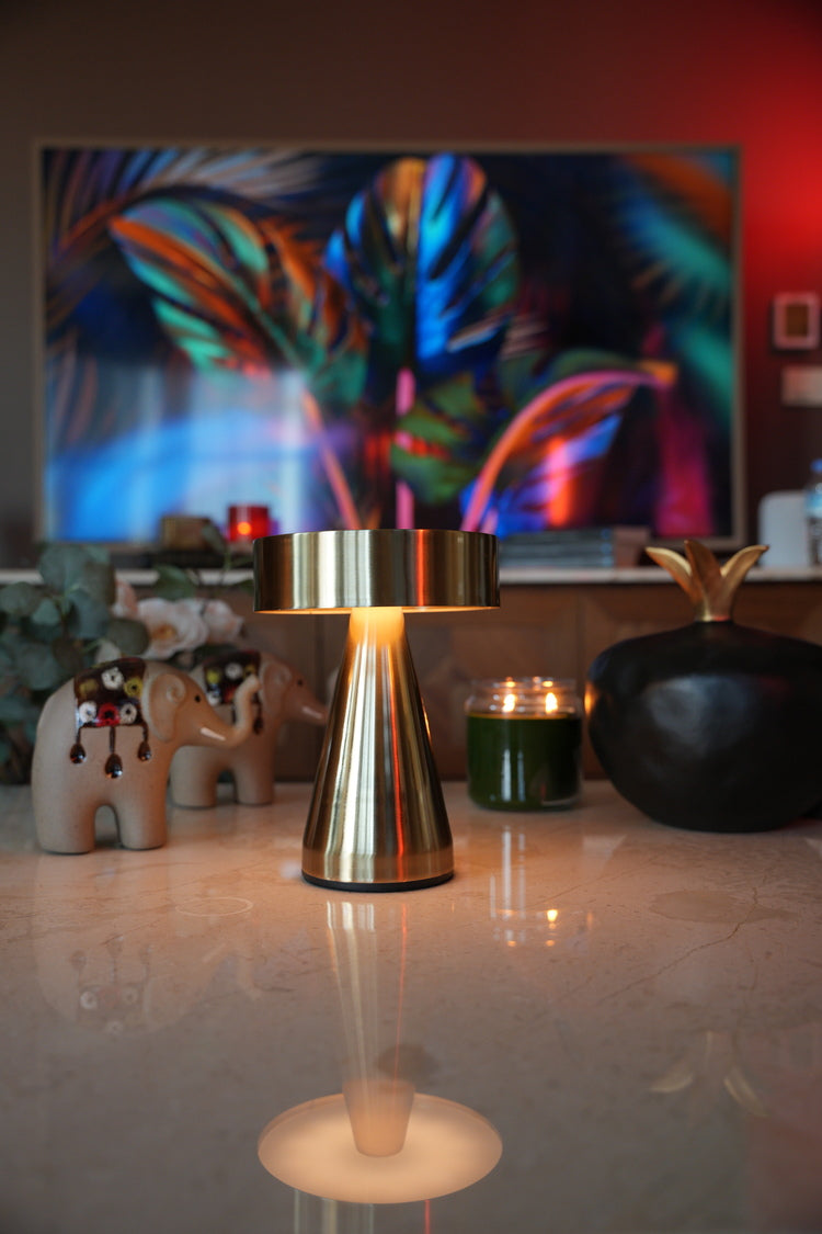 Olafur (Manyetik Şarj Kasetli)