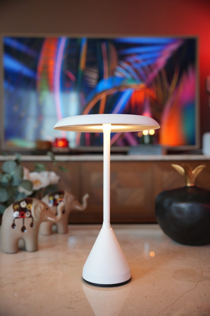 Rogler (Manyetik Şarj Kasetli)