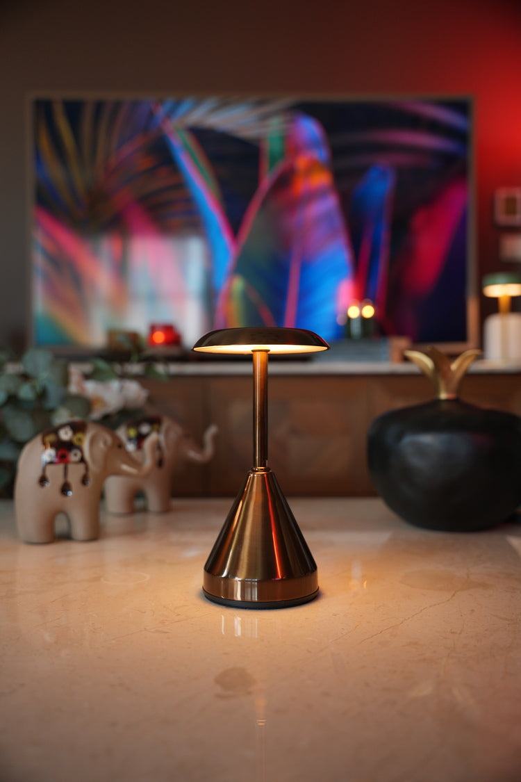 Simone (Type-C Model)