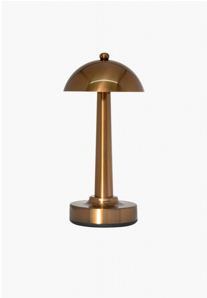 Vincent (Type-C Model)