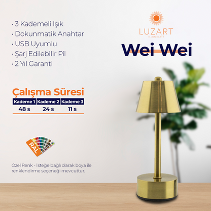 Wei Wei (Manyetik Şarj Kasetli)