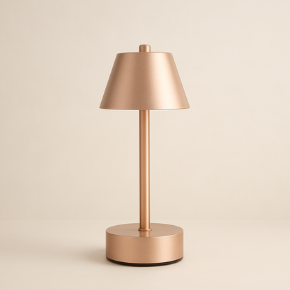 Wei Wei (Manyetik Şarj Kasetli)